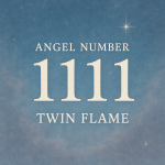 1111 angel number twin flame