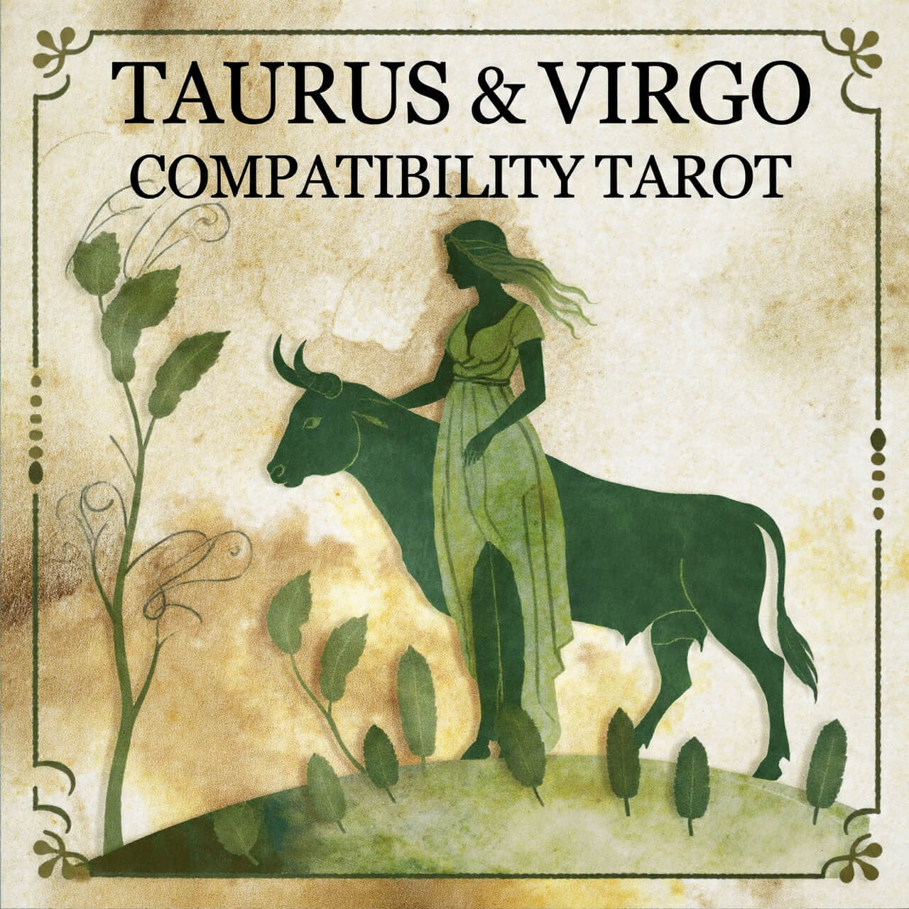 Taurus and Virgo Compatibility Tarot