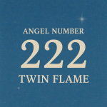 222 angel number twin flame