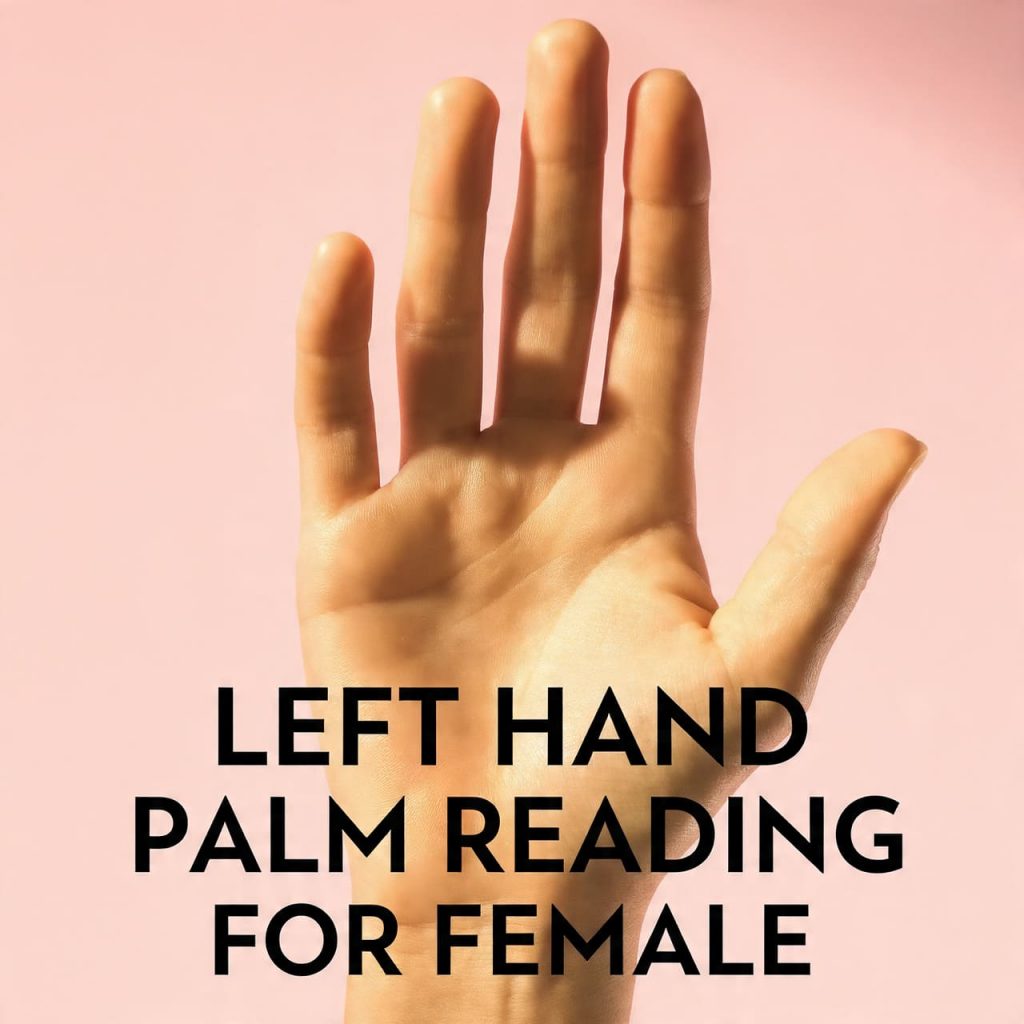 Left Hand Palm Reading for Female